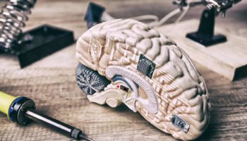 Künstliche Intelligenz - Gehirn - Lernen